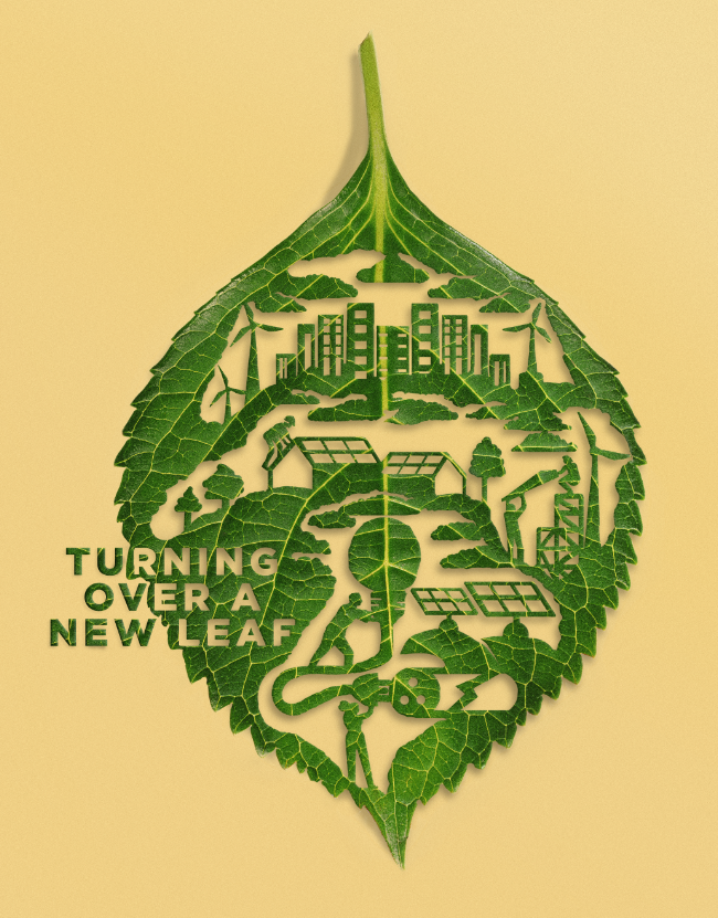 Turning over a new leaf